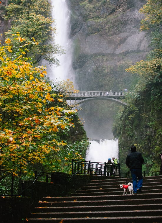 Multnomah Falls, outside of Portland